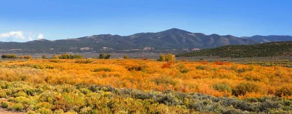 Scenic landscape in autumn — Stock Photo, Image