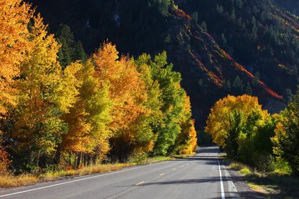 Impulsión escénica otoño — Foto de Stock