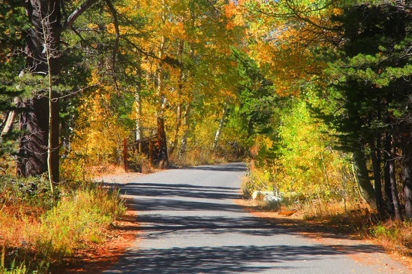 Promenade d'automne rurale — Photo