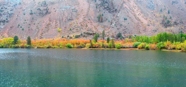 산 호수에서가 나무 — 스톡 사진