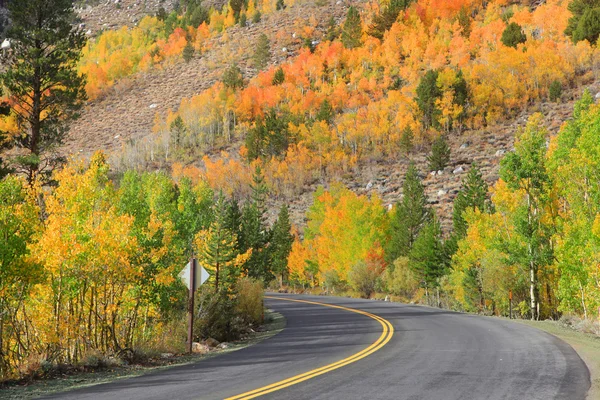 Impulsión escénica otoño — Foto de Stock