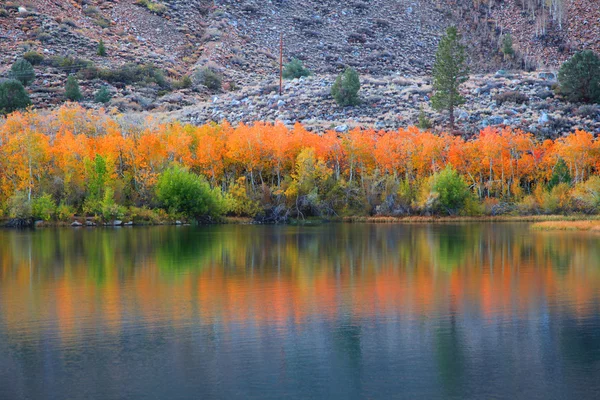 Bella riflessione autunnale — Foto Stock