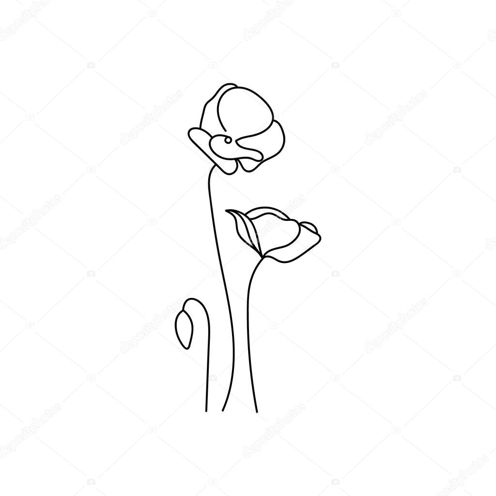 Poppy flower. Minimalistic outline drawing. Black line. Vector illustration isolated on white background