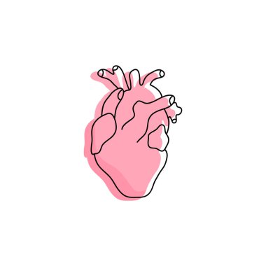 İnsan kalp çizgisi sanatı silueti. Beyaz arka planda izole edilmiş bir kalp. Doğrusal stil. Vektör illüstrasyonu.