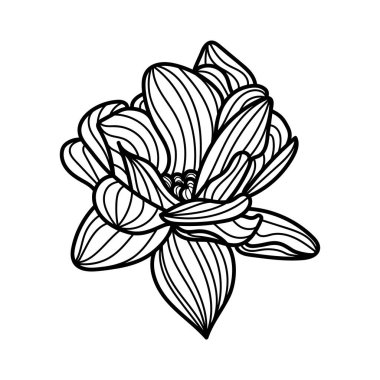 Lotus çiçeği ikonu. Beyaz arka planda siyah çizgi. Vektör illüstrasyonu