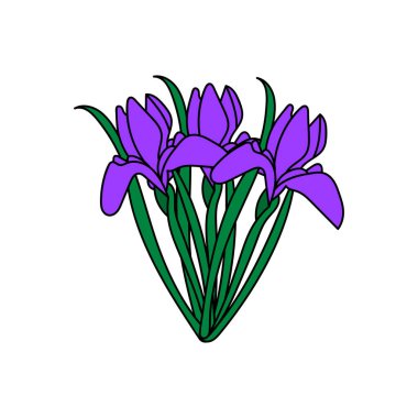 Beyaz bir arka planda mor iris. Basit bir illüstrasyon. Çiçekli tebrik kartı vektör şablonu. Clip sanatı tasarımı ögesi.