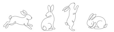 Paskalya tavşanı pofuduk tavşanın sürekli çizimlerini yapın. Beyaz arkaplan vektör illüstrasyonunda izole edildi. Düzenlenebilir satır.