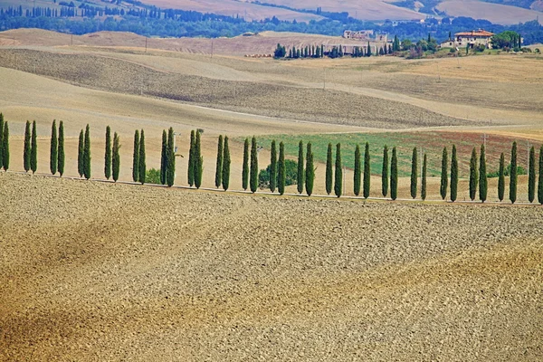 Landschap Toscane Met Luxevilla Cipress Hdr — Stockfoto
