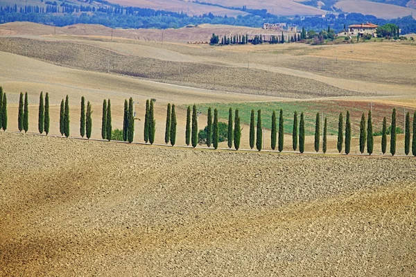 Paisaje Toscana Con Villa Lujo Ciprés Hdr — Foto de Stock