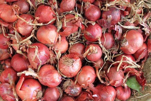 Fresh onions displayed in greengrocery — Stock Photo, Image