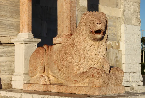 Aslan heykeli Ancona Saint Cyriacus katedral girişinde — Stok fotoğraf