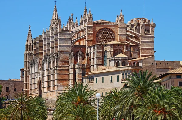 Gotische kathedraal van Palma de Mallorca — Stockfoto