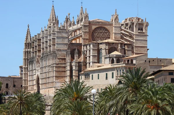 Cattedrale gotica di Palma di Maiorca — Foto Stock