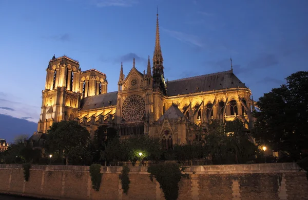 Katedra Notre Dame, o zachodzie słońca — Zdjęcie stockowe