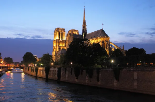 Katedra Notre Dame, o zachodzie słońca — Zdjęcie stockowe