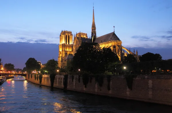 Katedra Notre Dame, o zachodzie słońca Zdjęcia Stockowe bez tantiem