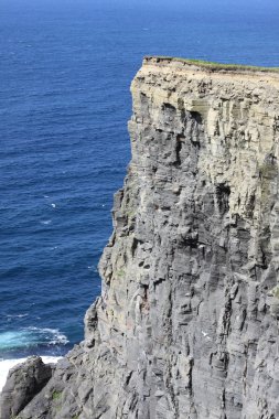 Moher Kayalıkları. County Clare, İrlanda