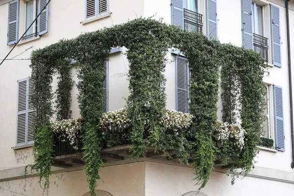 Balkon Mit Rollläden Mit Grünem Efeu Bedeckt — Stockfoto