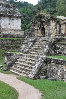 Palenque 'deki 14. tapınağın kalıntıları. Chiapas, Meksika