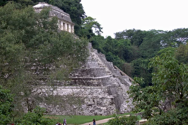 Inskriptionstemplet Maya Staden Palenque Mexiko — Stockfoto