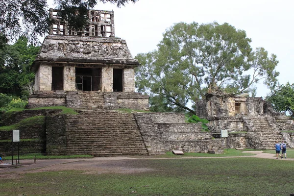 Templi Della Croce Gruppo Presso Rovine Maya Palenque Messico — Foto Stock