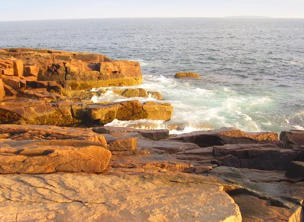 Seacoast Acadia National Park Maine Usa — Stock fotografie