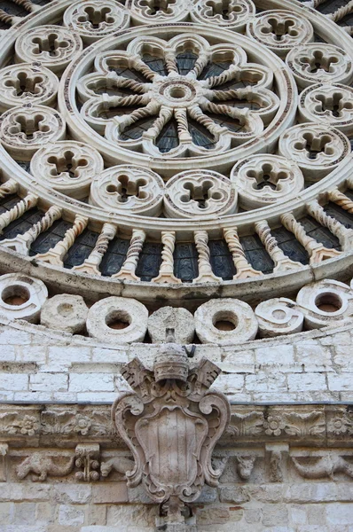 Kathedrale des Heiligen Rufino in Assisi — Stockfoto