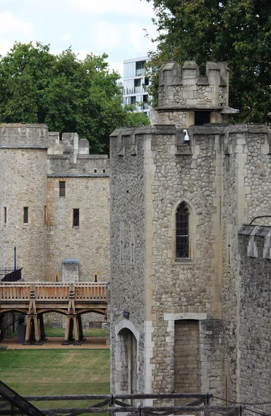 Londyńska Tower — Zdjęcie stockowe