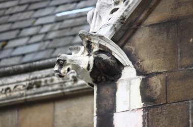 Gargoyle Westminster Sarayı