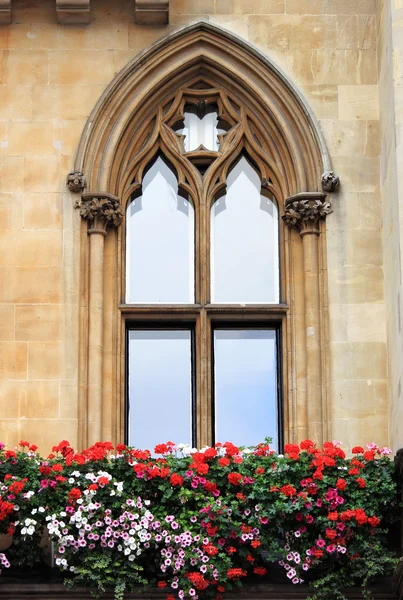 Fenêtre gothique — Photo