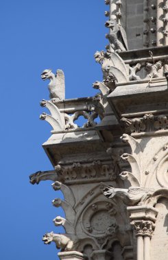 Gargoyles Notre Dame Katedrali