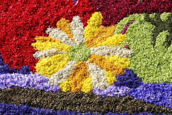 Floral carpet — Stock Photo, Image