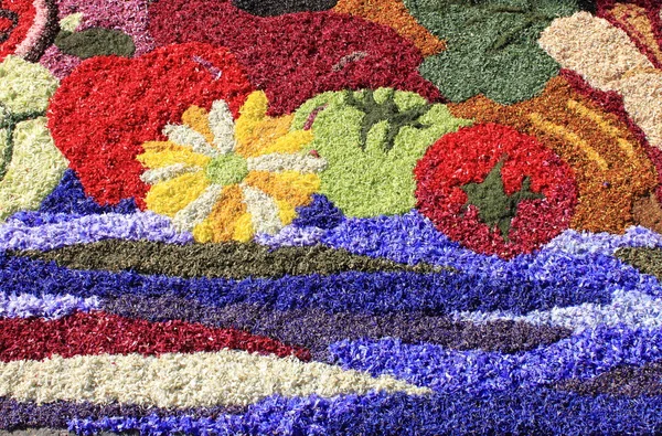 꽃 카펫 — 스톡 사진