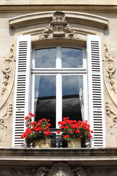 Fenêtre Renaissance avec fleurs rouges — Photo