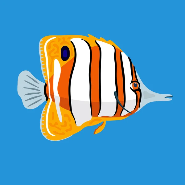 Pesce farfalla tropicale oceanica, illustrazione vettoriale — Vettoriale Stock