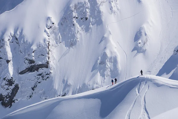 Snowboard freeride, snowboarders et pistes sur une pente de montagne. Sport d'hiver extrême . — Photo