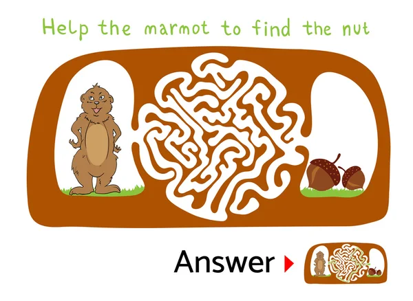 Labyrint pussel för barn med Marmot och mutter. Labyrint illustration, lösning ingår. — Stock vektor
