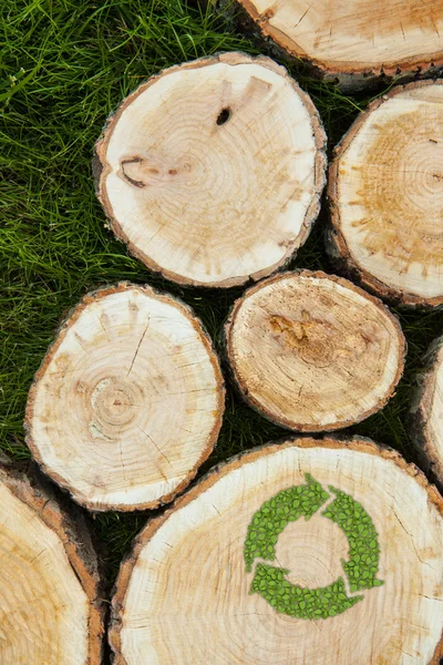 Tronchi d'albero sull'erba con simbolo riciclo — Foto Stock
