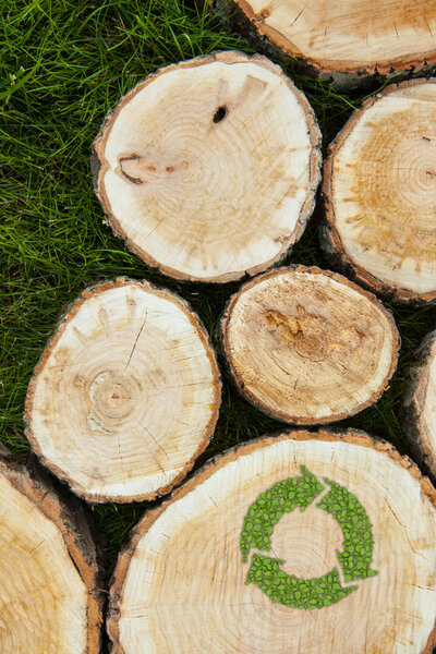 Tree stumps on the grass with recycle symbol