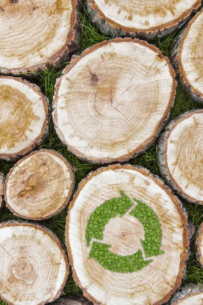 Souches d'arbre sur l'herbe avec le symbole de recyclage — Photo