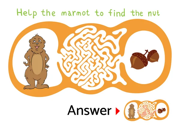 Labyrint pussel för barn med Marmot och mutter. Labyrint illustration, lösning ingår. — Stock vektor