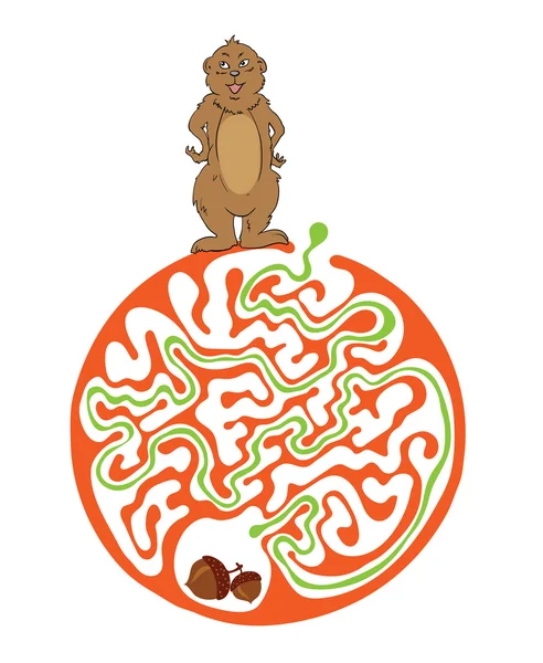 Puzzle labyrinthe pour enfants avec marmotte et noix. Illustration de labyrinthe, solution incluse . — Image vectorielle