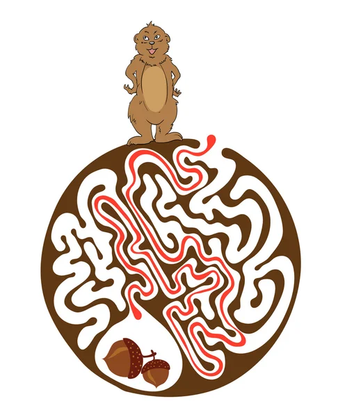 Puzzle labirint pentru copii cu Marmot și Nut. Labirint ilustrație, soluție inclusă . — Vector de stoc