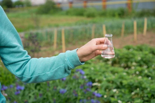 Mano con provetta e pianta. Fertilizzante in vetreria da laboratorio . — Foto Stock