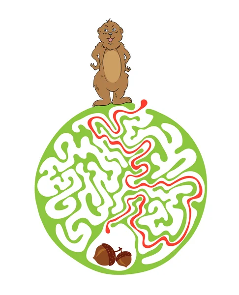Doolhof puzzel voor kinderen met Marmot en moer. Labyrint illustratie, oplossing opgenomen. — Stockvector
