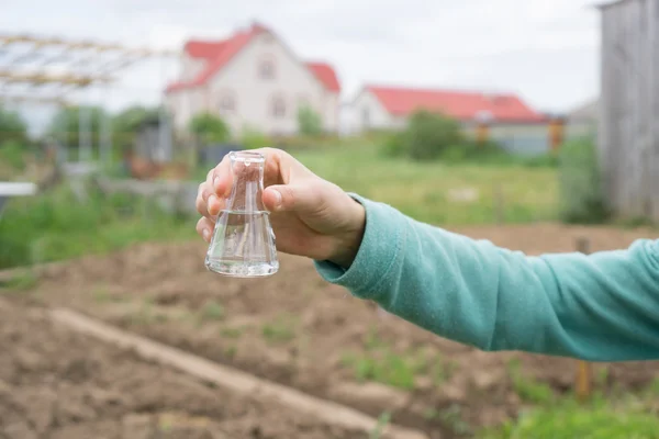 Mano con un tubo de ensayo y una planta. Fertilizante en cristalería de laboratorio . — Foto de Stock