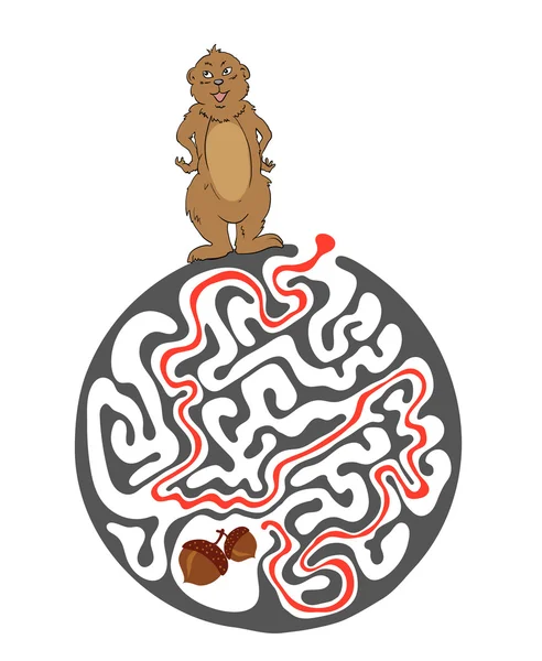 Doolhof puzzel voor kinderen met Marmot en moer. Labyrint illustratie, oplossing opgenomen. — Stockvector