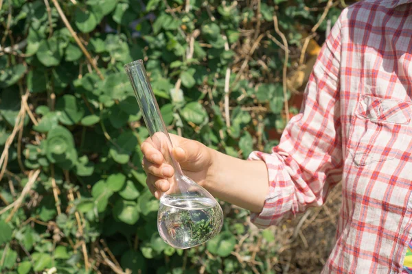 Essai de pureté de l'eau, liquide dans la verrerie de laboratoire — Photo