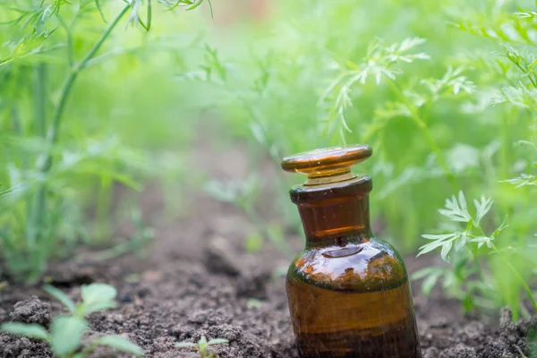 Líquido en artículos químicos sobre un fondo de plantas, fertilizantes o pesticidas en el jardín . —  Fotos de Stock