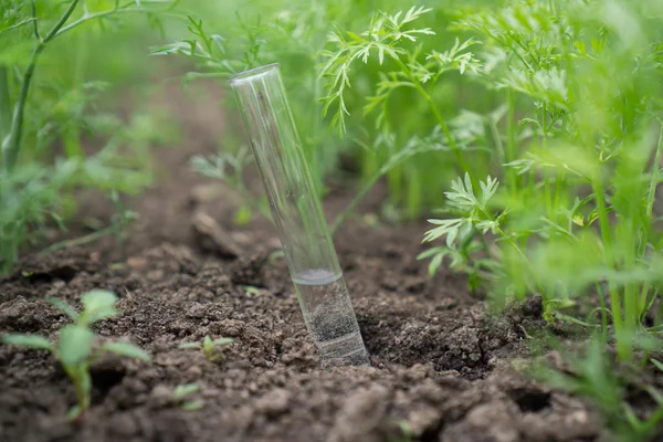 Liquid in chemical ware on a background of plants, fertilizers or pesticides in the garden. — Stock Photo, Image